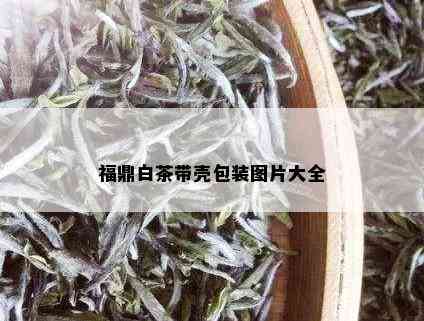 福鼎白茶带壳包装图片大全