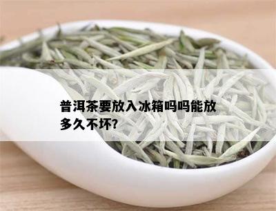 普洱茶要放入冰箱吗吗能放多久不坏？