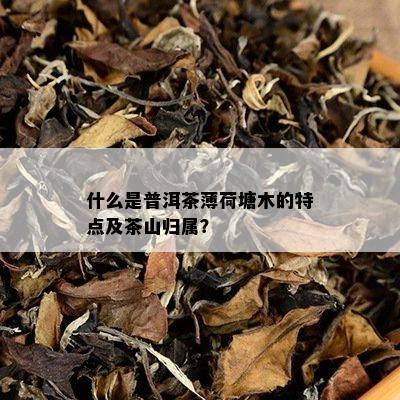 什么是普洱茶薄荷塘木的特点及茶山归属？