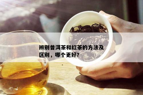 辨别普洱茶和红茶的方法及区别，哪个更好？