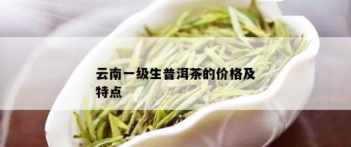 云南一级生普洱茶的价格及特点