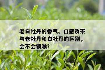 老白牡丹的香气、口感及茶与老牡丹和白牡丹的区别，会不会锁喉？