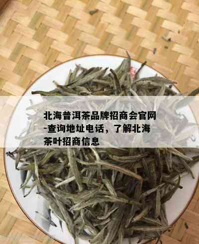 北海普洱茶品牌招商会官网-查询地址电话，了解北海茶叶招商信息