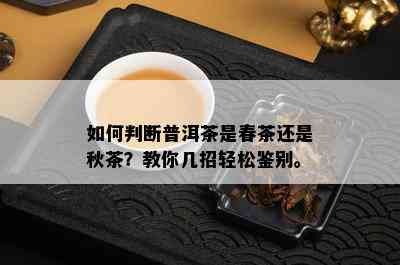 如何判断普洱茶是春茶还是秋茶？教你几招轻松鉴别。