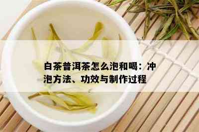 白茶普洱茶怎么泡和喝：冲泡方法、功效与制作过程