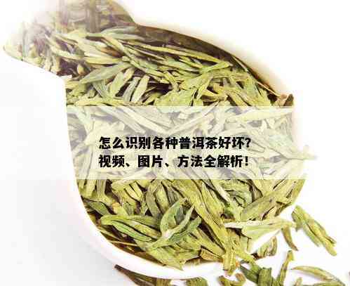 怎么识别各种普洱茶好坏？视频、图片、方法全解析！