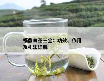 福鼎白茶三宝：功效、作用及扎法详解