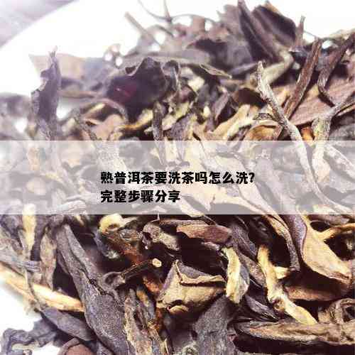 熟普洱茶要洗茶吗怎么洗？完整步骤分享