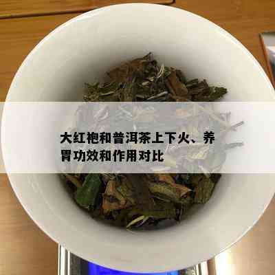 大红袍和普洱茶上下火、养胃功效和作用对比