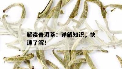 解读普洱茶：详解知识，快速了解！