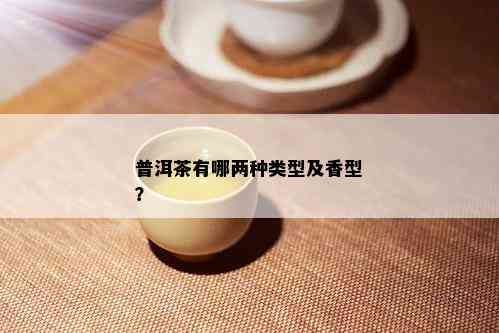 普洱茶有哪两种类型及香型？