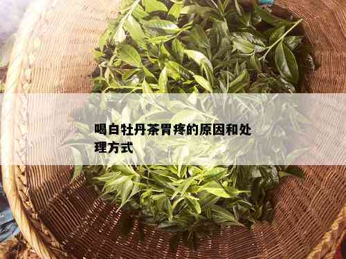 喝白牡丹茶胃疼的原因和处理方式