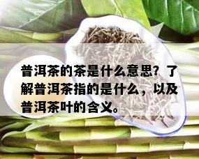 普洱茶的茶是什么意思？了解普洱茶指的是什么，以及普洱茶叶的含义。