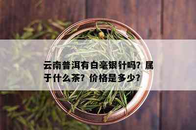 云南普洱有白毫银针吗？属于什么茶？价格是多少？