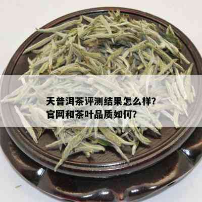 天普洱茶评测结果怎么样？官网和茶叶品质如何？