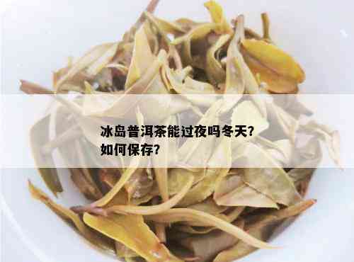 冰岛普洱茶能过夜吗冬天？如何保存？