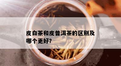 皮白茶和皮普洱茶的区别及哪个更好？