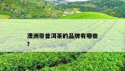 澳洲带普洱茶的品牌有哪些？