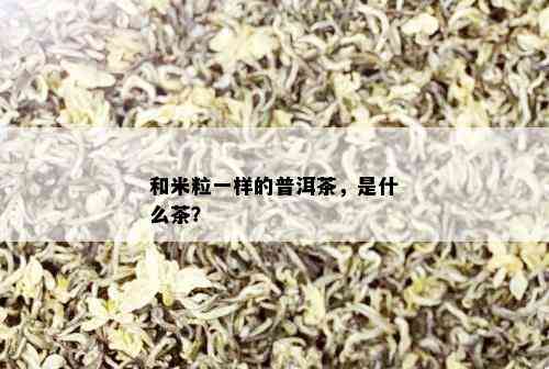 和米粒一样的普洱茶，是什么茶？