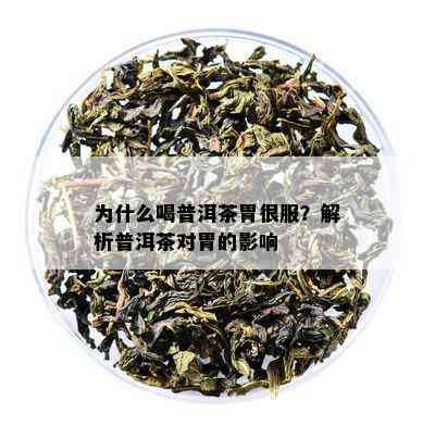 为什么喝普洱茶胃很服？解析普洱茶对胃的影响