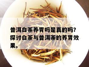 普洱白茶养胃吗是真的吗？探讨白茶与普洱茶的养胃效果。