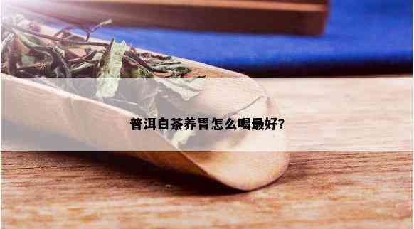 普洱白茶养胃怎么喝更好？