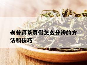 老普洱茶真假怎么分辨的方法和技巧