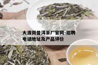 大渡岗普洱茶厂官网-招聘电话地址及产品评价