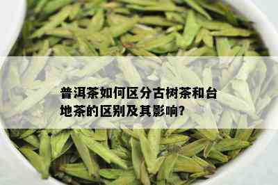 普洱茶如何区分古树茶和台地茶的区别及其影响？