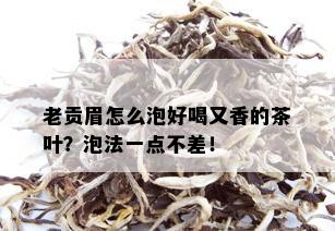 老贡眉怎么泡好喝又香的茶叶？泡法一点不差！