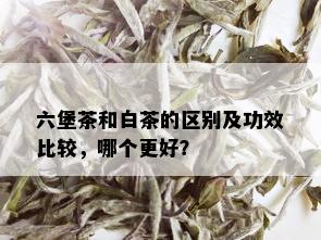 六堡茶和白茶的区别及功效比较，哪个更好？