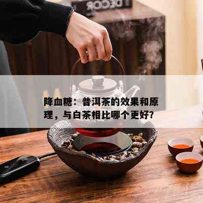 降血糖：普洱茶的效果和原理，与白茶相比哪个更好？