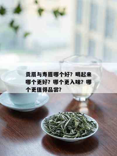 贡眉与寿眉哪个好？喝起来哪个更好？哪个更入味？哪个更值得品尝？