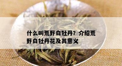 什么叫荒野白牡丹？介绍荒野白牡丹花及其意义