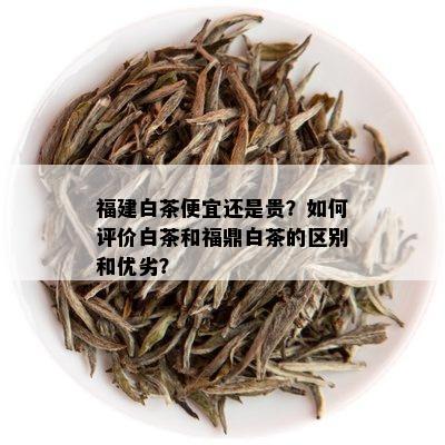 福建白茶便宜还是贵？如何评价白茶和福鼎白茶的区别和优劣？