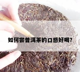 如何尝普洱茶的口感好喝？