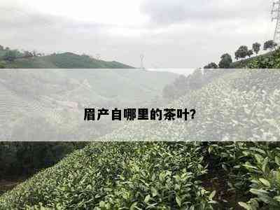 眉产自哪里的茶叶？