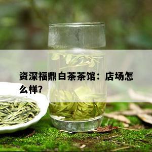 资深福鼎白茶茶馆：店场怎么样？