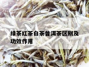 绿茶红茶白茶普洱茶区别及功效作用