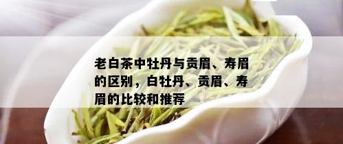 老白茶中牡丹与贡眉、寿眉的区别，白牡丹、贡眉、寿眉的比较和推荐