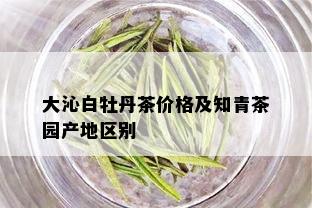 大沁白牡丹茶价格及知青茶园产地区别