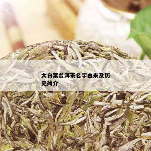 大白菜普洱茶名字由来及历史简介