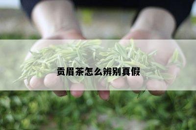 贡眉茶怎么辨别真假