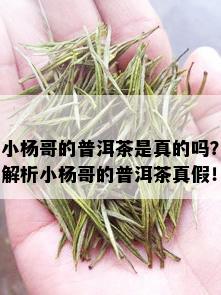 小杨哥的普洱茶是真的吗？解析小杨哥的普洱茶真假！