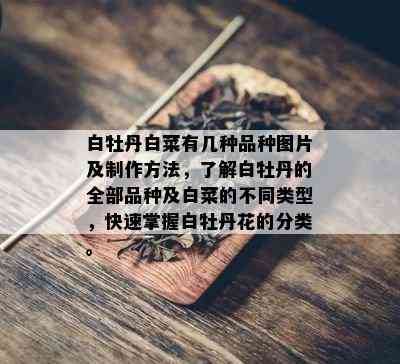 白牡丹白菜有几种品种图片及制作方法，了解白牡丹的全部品种及白菜的不同类型，快速掌握白牡丹花的分类。