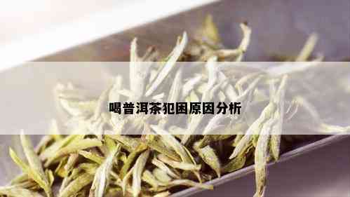 喝普洱茶犯困原因分析