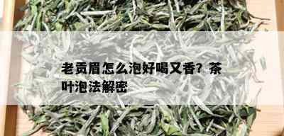 老贡眉怎么泡好喝又香？茶叶泡法解密