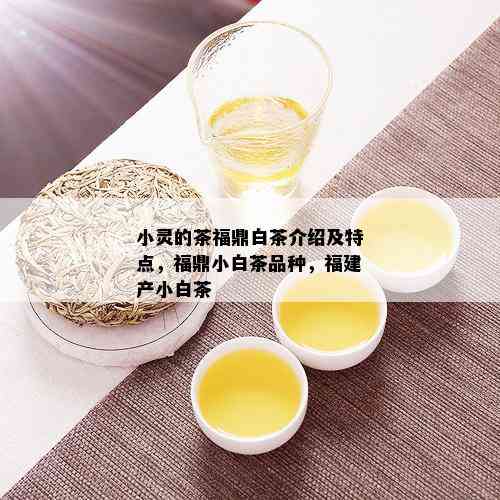 小灵的茶福鼎白茶介绍及特点，福鼎小白茶品种，福建产小白茶