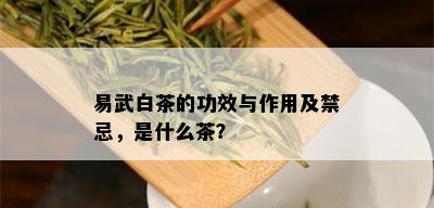 易武白茶的功效与作用及禁忌，是什么茶？