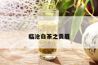 临沧白茶之贡眉